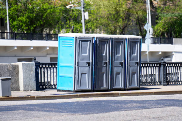 Best Affordable portable toilet rental  in Swansea, IL